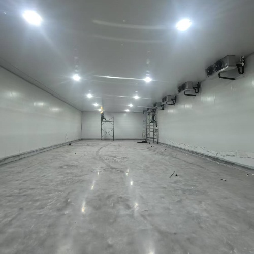 马鞍山300平食品冷冻库(图1)